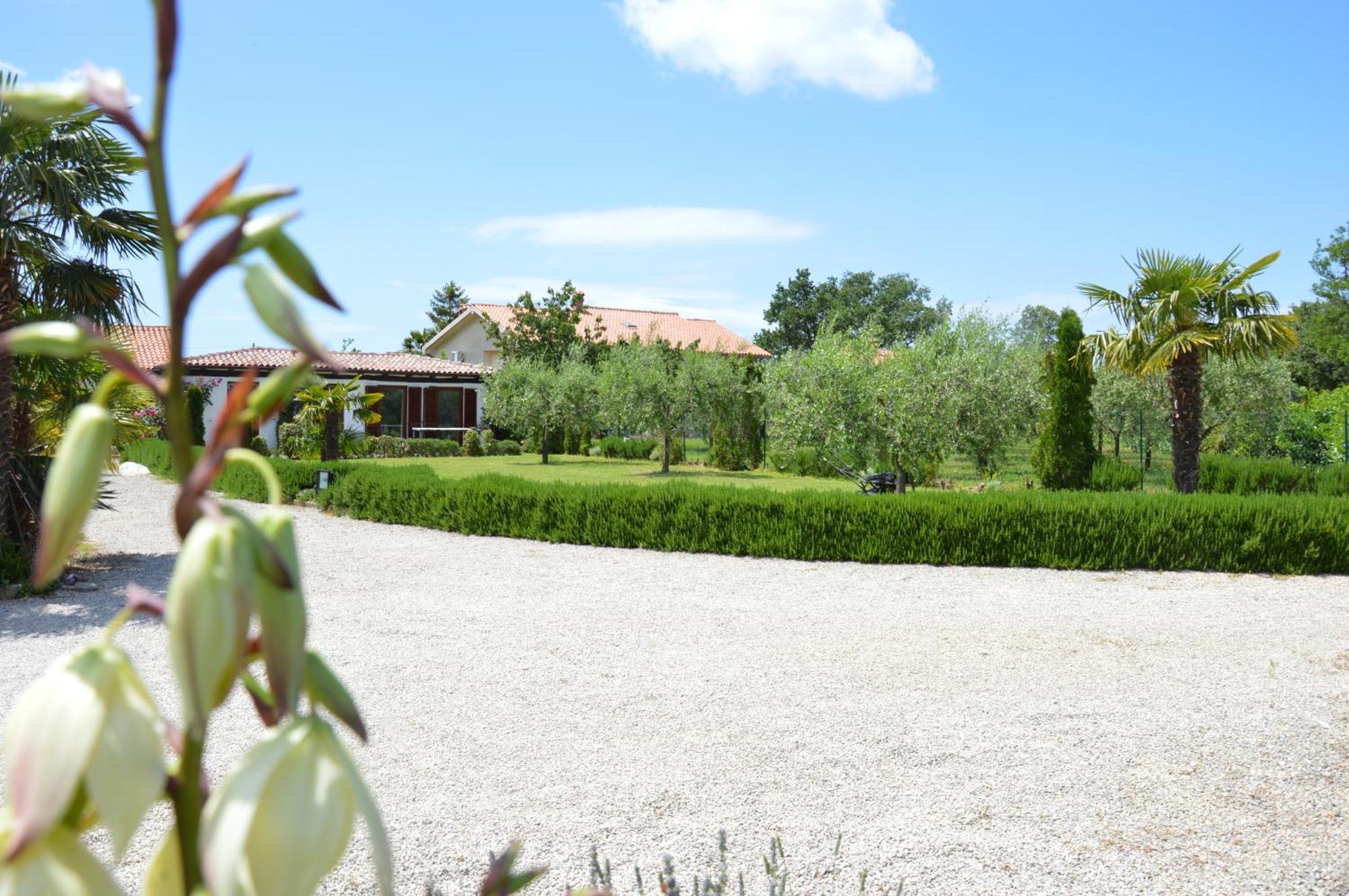 Apartments Aurelia Nova Vas  外观 照片