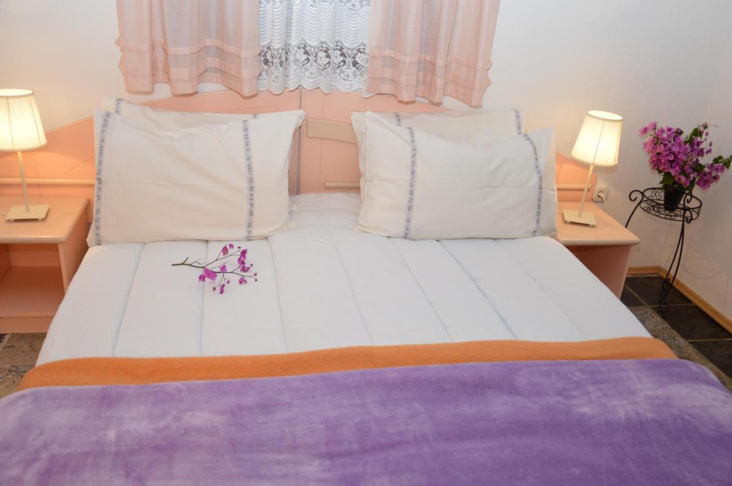 Apartments Aurelia Nova Vas  外观 照片